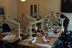 microscopes-and-table.jpg