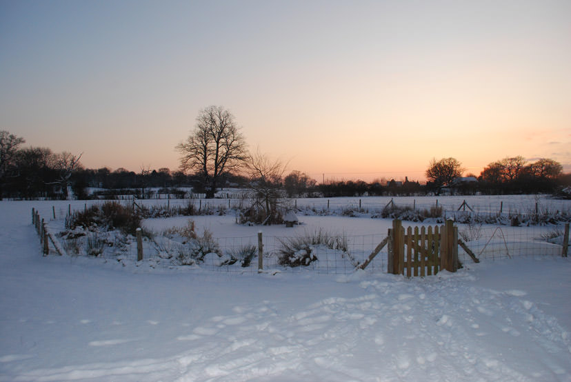 frozen-pond-at-sunset-cropped.jpeg